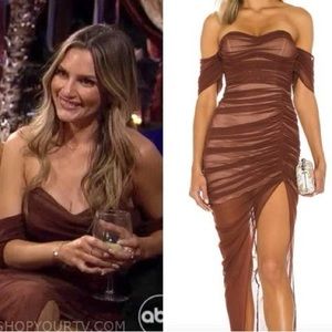 Dita Mesh Gown in Chocolate & Nude